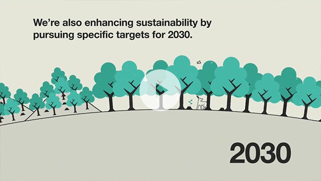 Sustainability Vision