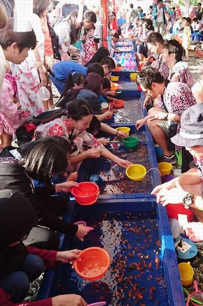 Goldfish scooping was very popular again this year
