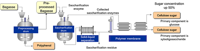 Production flow of cellulose sugar, oligosaccharides and polyphenols from bagasse
