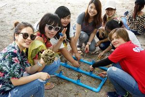 Participants help putting the coral branches onto the artificial reef
