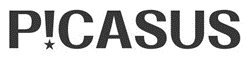 PICASUS logo