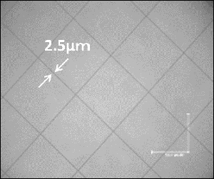 Metal mesh electrode incorporating RAYBRID