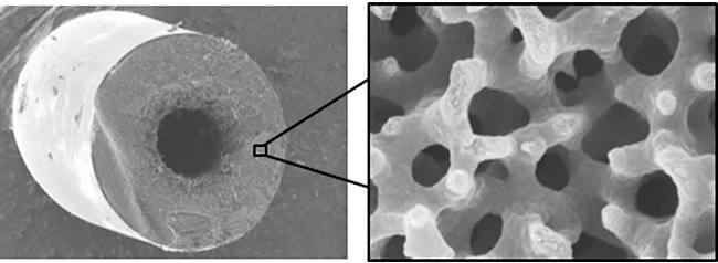 Hollow porous carbon fiber and internal porous structure