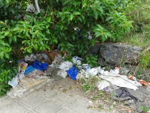 Before picking up litter