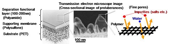 Figure 1. Nanostructure of RO membrane’s separation functional layers