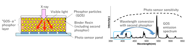 X-ray scintillator panel using Toray's new technology (left) and diagram of light wavelength conversion (right)