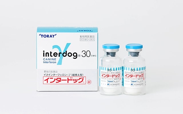 INTERDOG&trade;