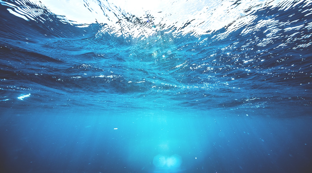 A Materials World | Sustainability | TORAY