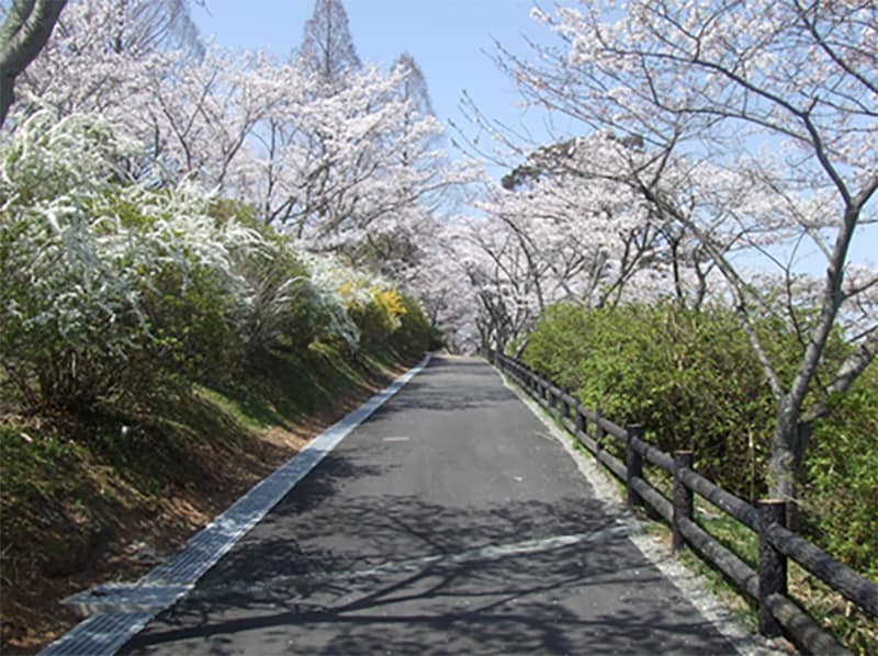 Sonoyama Park green space