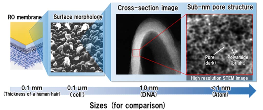 Results of RO membrane structural analysis