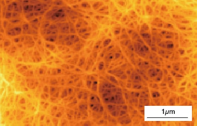 AFM image of film surface of Battery separator film